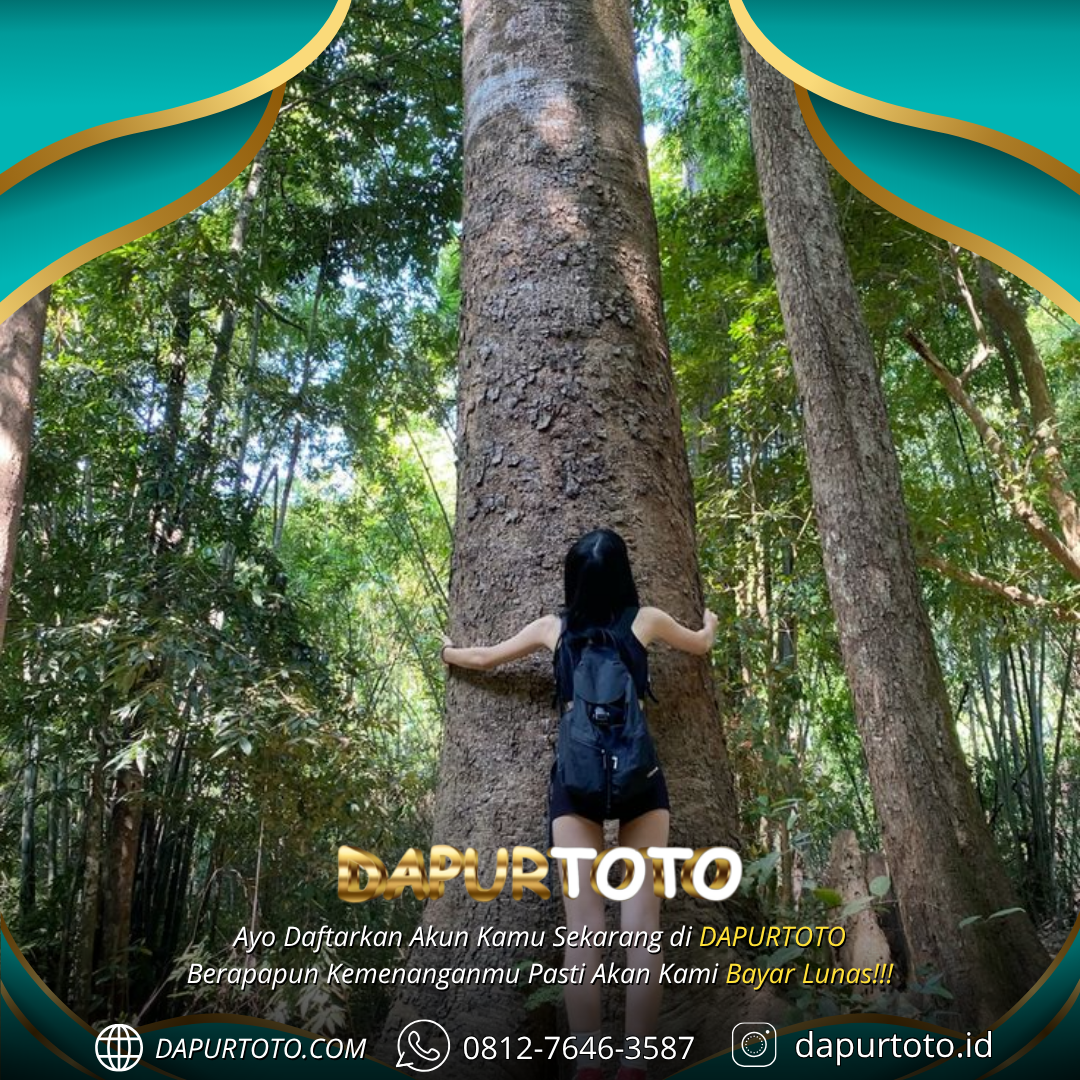 DAPURTOTO : Pilihan Situs Judi Slot Terbaik Dan Terpercaya No 1 Di Indonesia Tahun 2025
